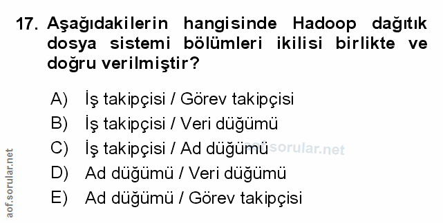 Soru 17