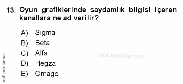 Soru 13