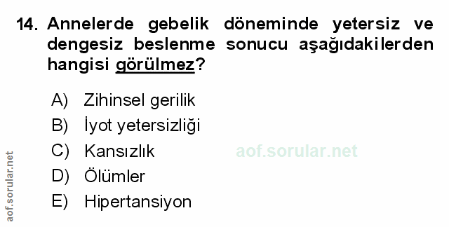 Soru 14