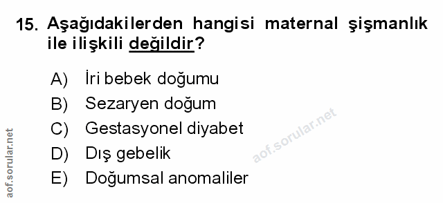 Soru 15