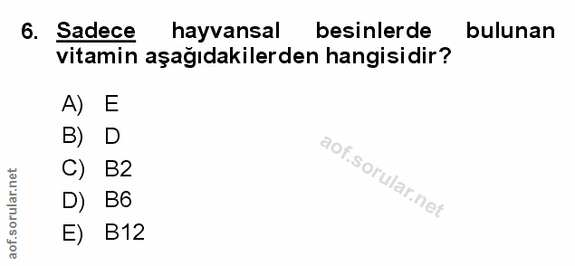 Soru 6