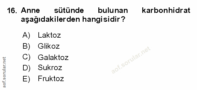 Soru 16