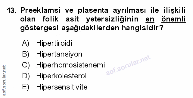 Soru 13