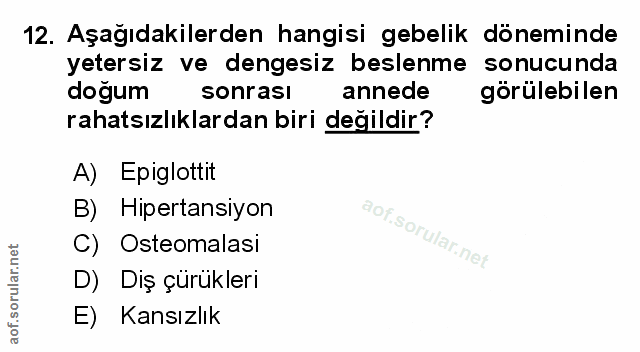 Soru 12