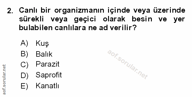 Soru 2