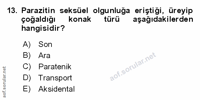 Soru 13