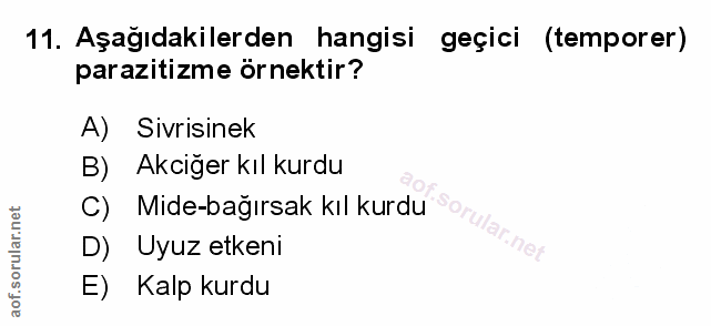 Soru 11