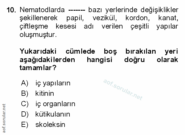 Soru 10