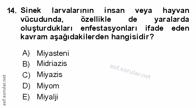 Soru 14