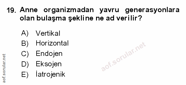 Soru 19