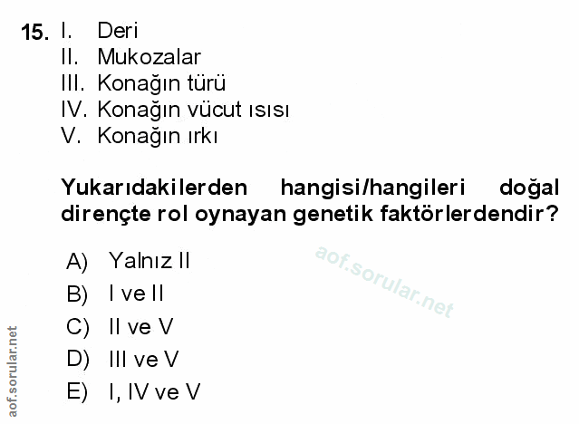 Soru 15