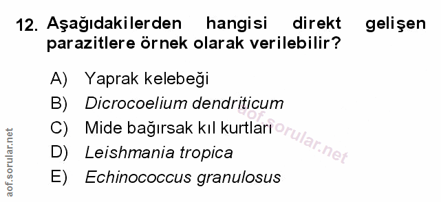 Soru 12