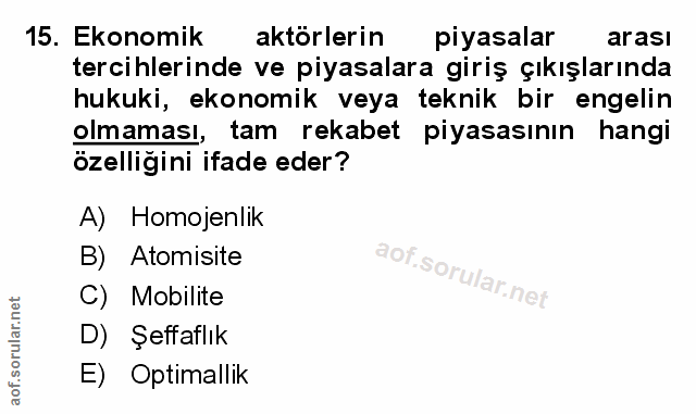 Soru 15