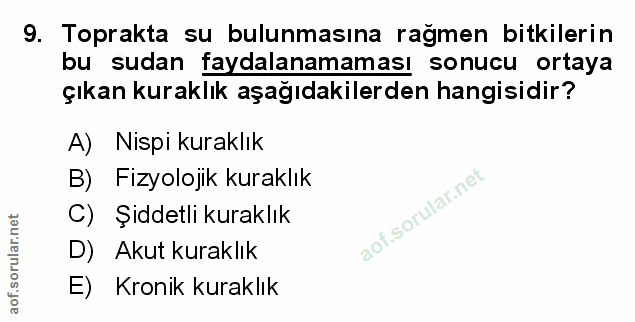 Soru 9