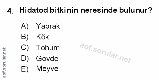 Soru 4