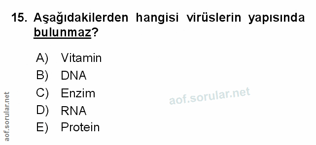 Soru 15