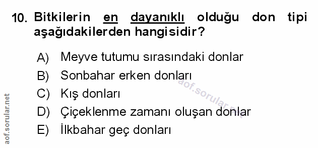 Soru 10