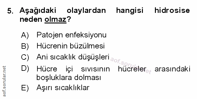 Soru 5