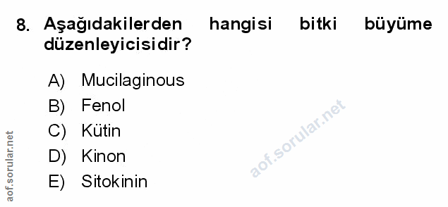 Soru 8