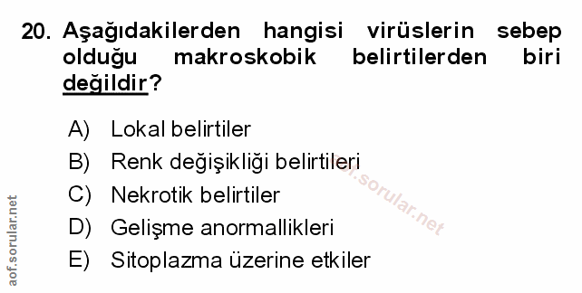 Soru 20