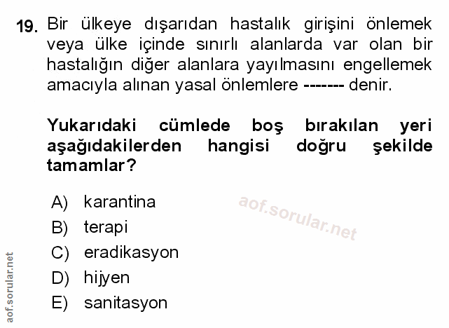 Soru 19