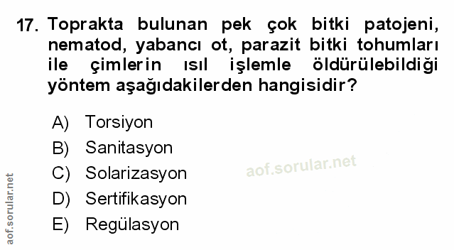 Soru 17