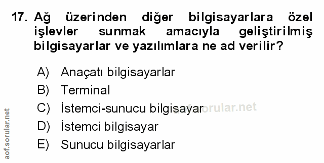 Soru 17