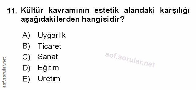 Soru 11