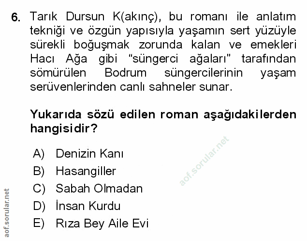Soru 6