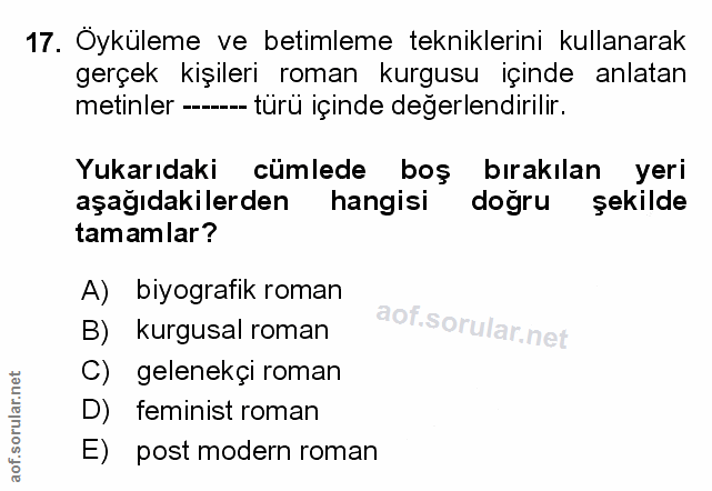 Soru 17