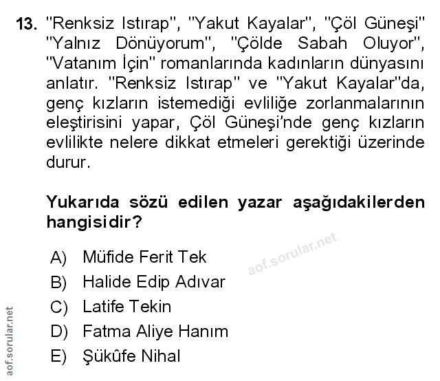 Soru 13