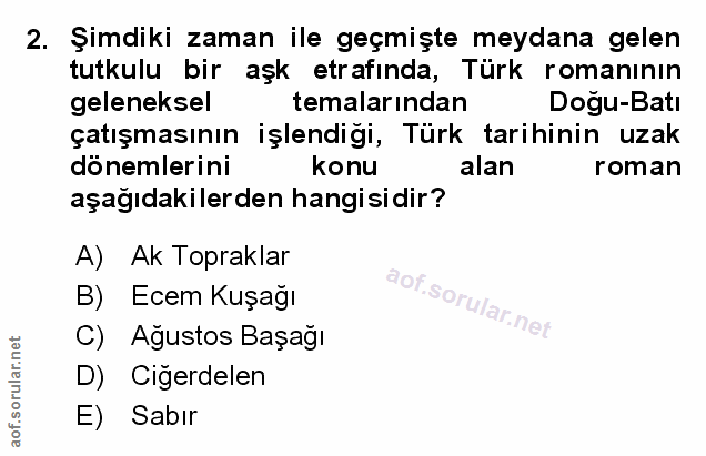 Soru 2