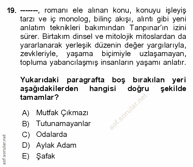 Soru 19