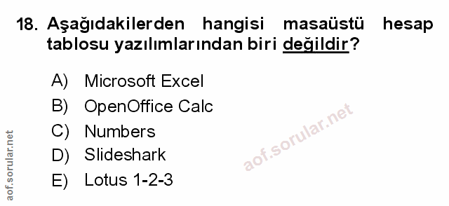 Soru 18
