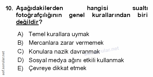 Soru 10