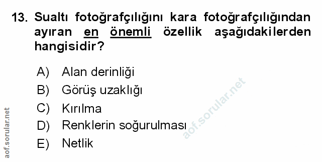 Soru 13