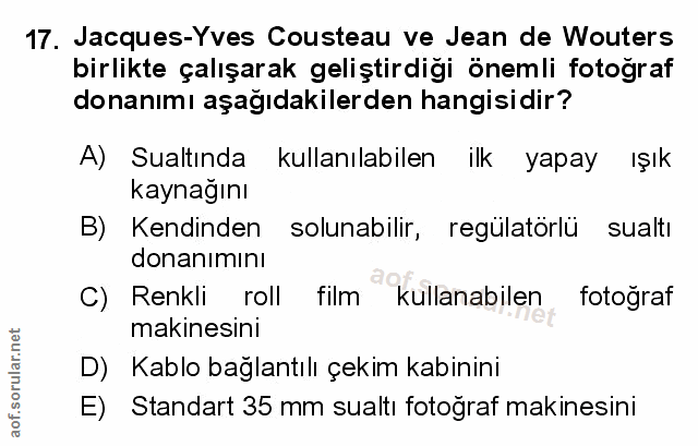 Soru 17