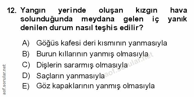 Soru 12