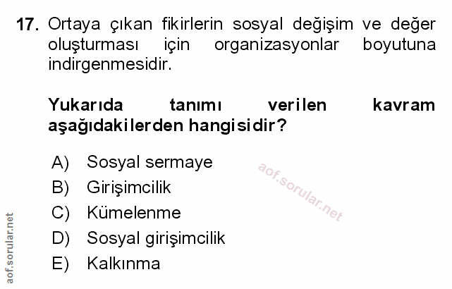 Soru 17