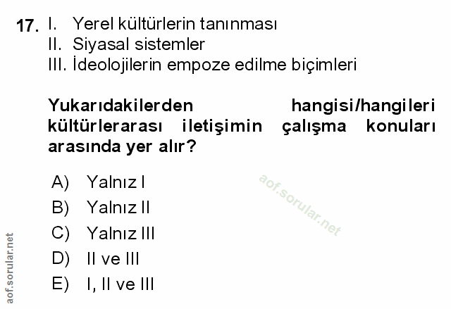 Soru 17