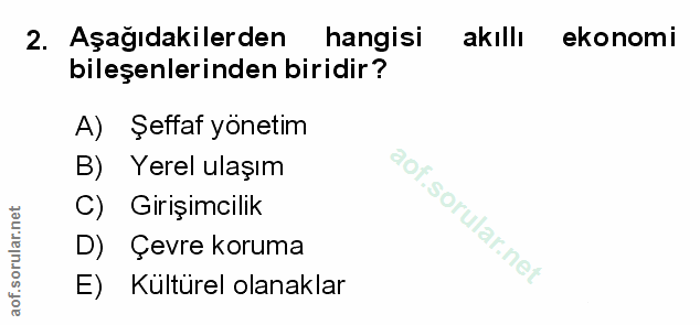 Soru 2