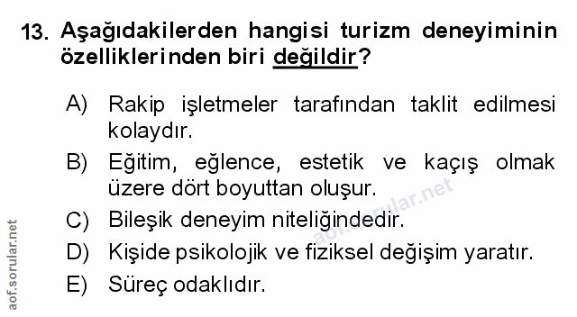 Soru 13