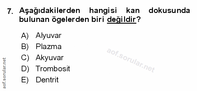 Soru 7