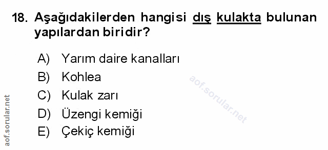 Soru 18
