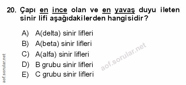 Soru 20