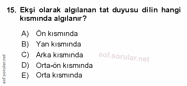 Soru 15
