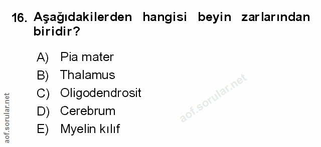 Soru 16