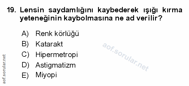 Soru 19