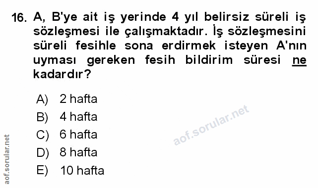 Soru 16