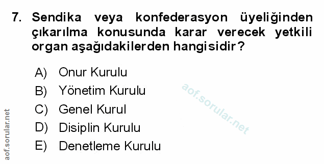 Soru 7